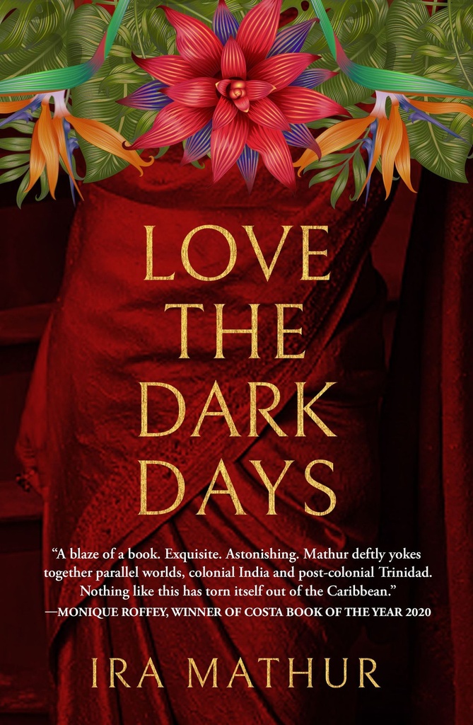 Love the Dark Days - Ira Mathur