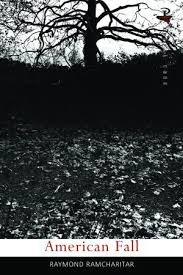 American Fall - Raymond Ramcharitar