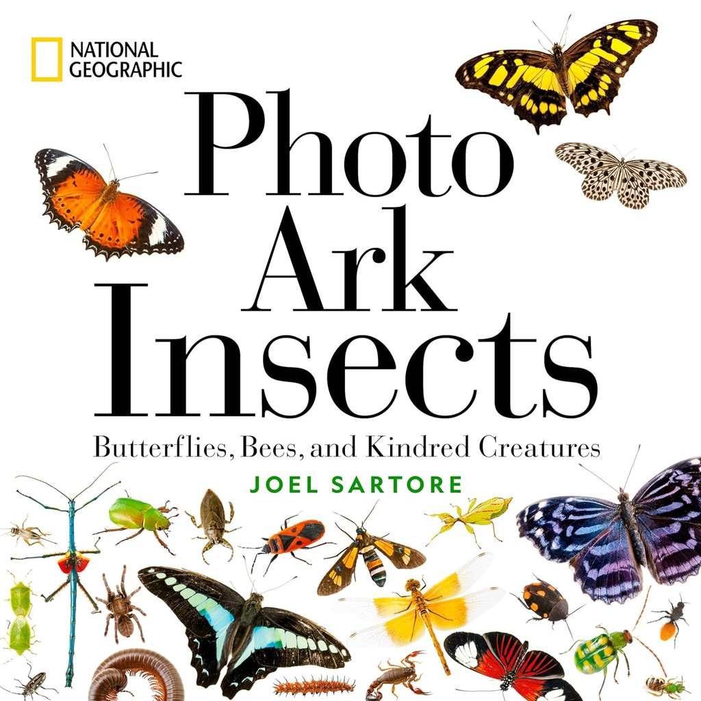 National Geographic Photo Ark Insects: Butterflies, Bees, and Kindred Creatures (The Photo Ark) - National Geographic