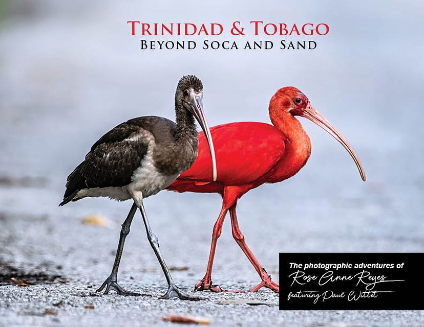 Trinidad & Tobago "Beyond Soca & Sand" - Rose-Anne Reyes