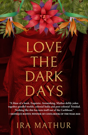 Love the Dark Days - Ira Mathur