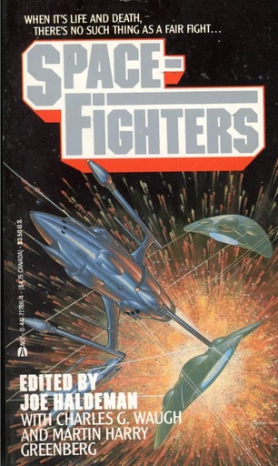 Space Fighters - Michael Speed Schuster