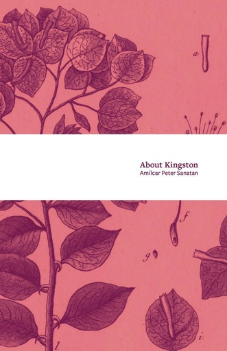 About Kingston - Amilcar Peter Sanatan