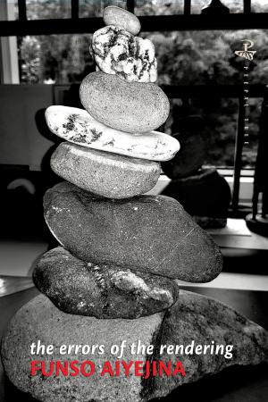 The Errors of the Rendering - Funso Aiyejina