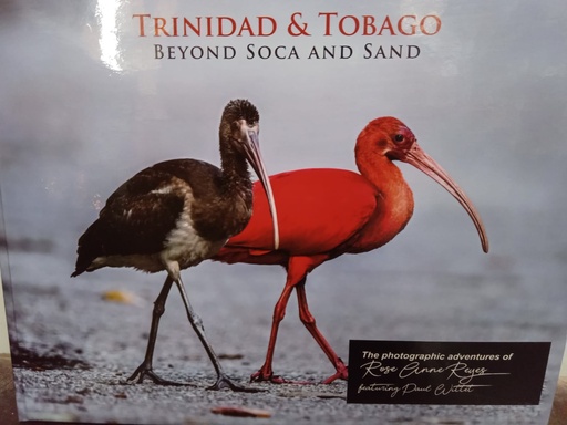 Trinidad & Tobago "Beyond Soca & Sand" - Rose-Ann Reyes